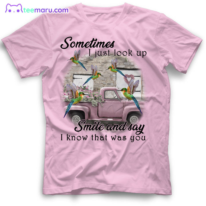 MEBS007 Sometimes I Just Look Up Hummingbird Memorial T-Shirt