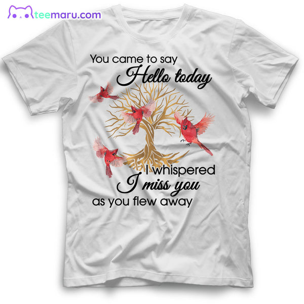 MEBS010 You Came To Say Hello Today Cardinal Memorial T-Shirt