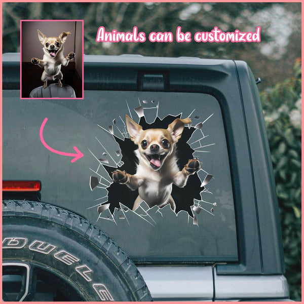 PTDC0007 - Personalized Photo Chihuahua Pet Car Decal - Cracked Surface Window